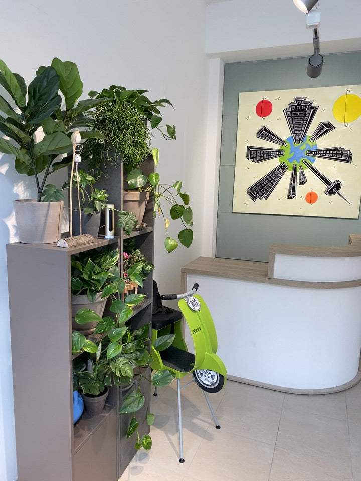 Pahi Reception Counter Elm Exhibit