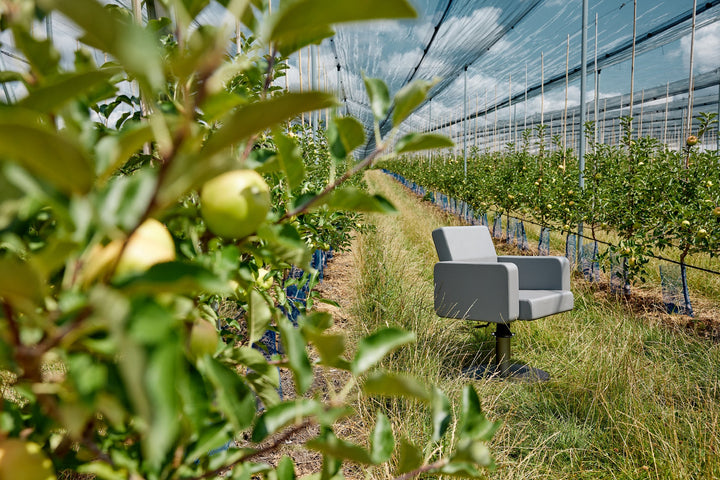 Greiner hairdresser's chair model 94