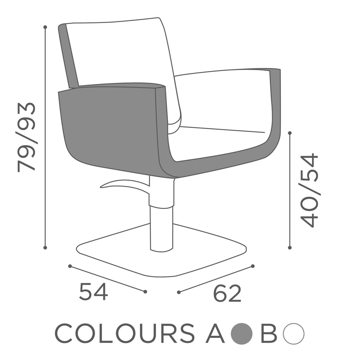 Salon Ambience Fauteuil de coiffure YOU