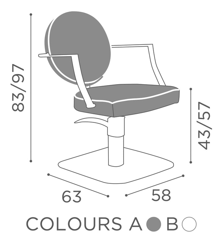 Salon Ambience Fauteuil de coiffure CAMILLE