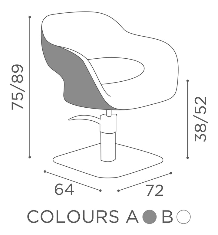 Salon Ambience Fauteuil de coiffure VANESSA