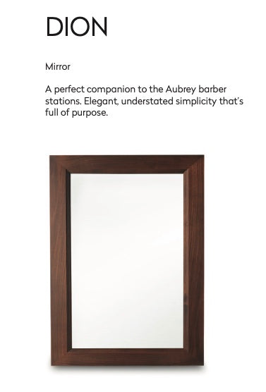 Takara Belmont Miroir mural de coiffure Dion