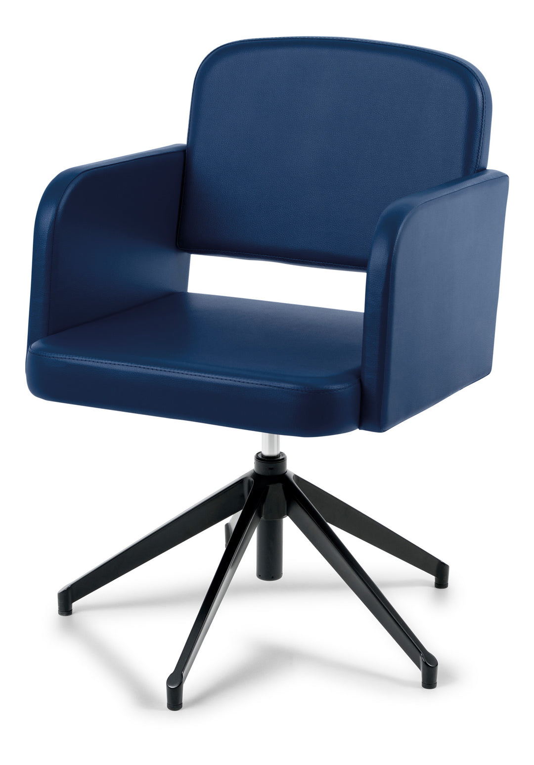 Cara Collection Sillón de peluquería Luis