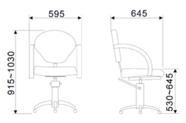 Salondesign24 PremiumRoll Line 1