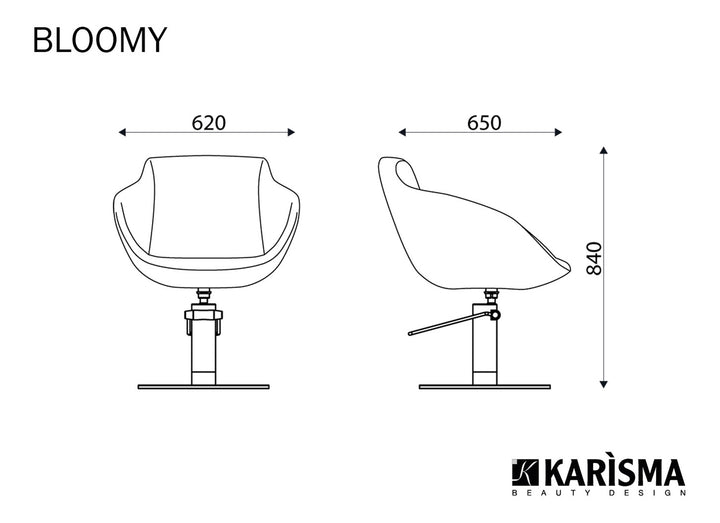 Karisma BLOOMY Hairdressing Chair