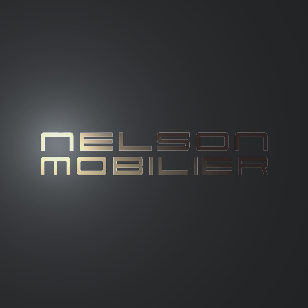 Nelson Mobilier FAUTEUIL DE LAVAGE CHARMEWASH