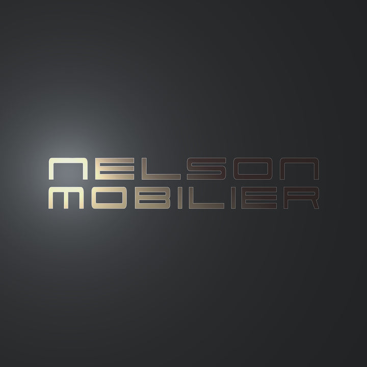 Nelson Mobilier FAUTEUIL DE LAVAGE CHARMEWASH